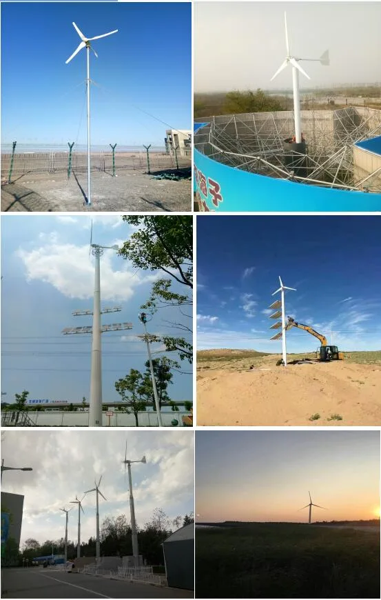 5kw Marine Windmill/Wind Power/Wind Turbine Generator Price