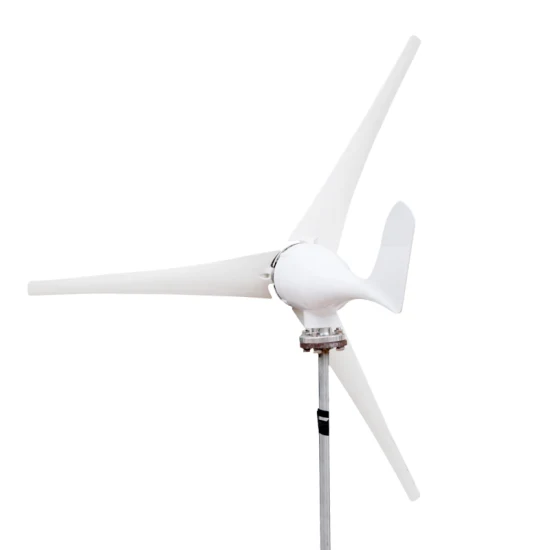 Wholesale Household White 100W 200W 300W Wind Turbine Wind Power Generator Marine Wind Generators